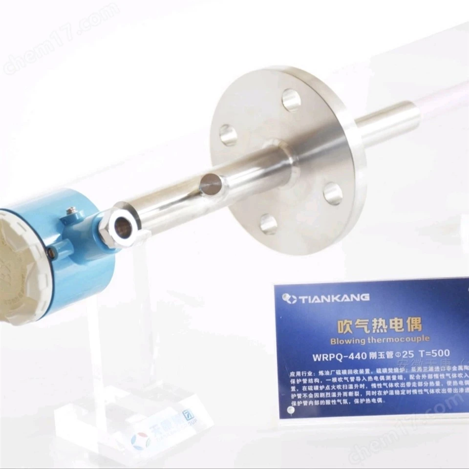 Purge Type Thermocouple